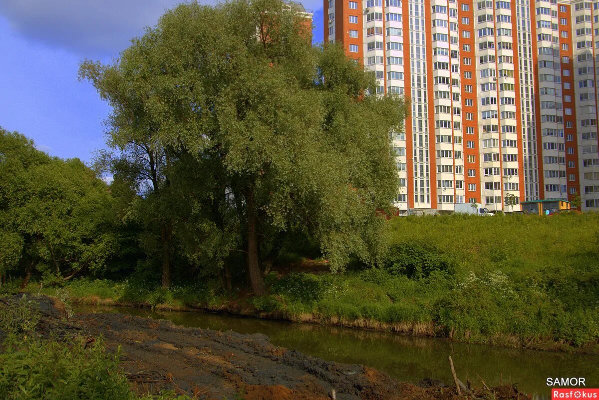 Кучино московская область фото Фото: Пехорка станет курортом!. Фотолюбитель Валерий Самородов. Город. Фотосайт 