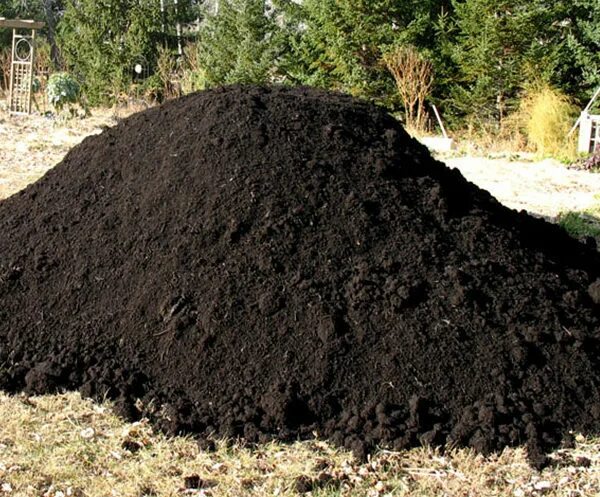 Кучка земли фото Купить Чернозем с доставкой в Москве по самой низкой цене Оптом от 20 кубов Хара