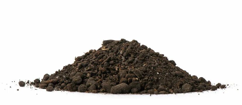 Кучка земли фото PigFarm фотография Stock Adobe Stock