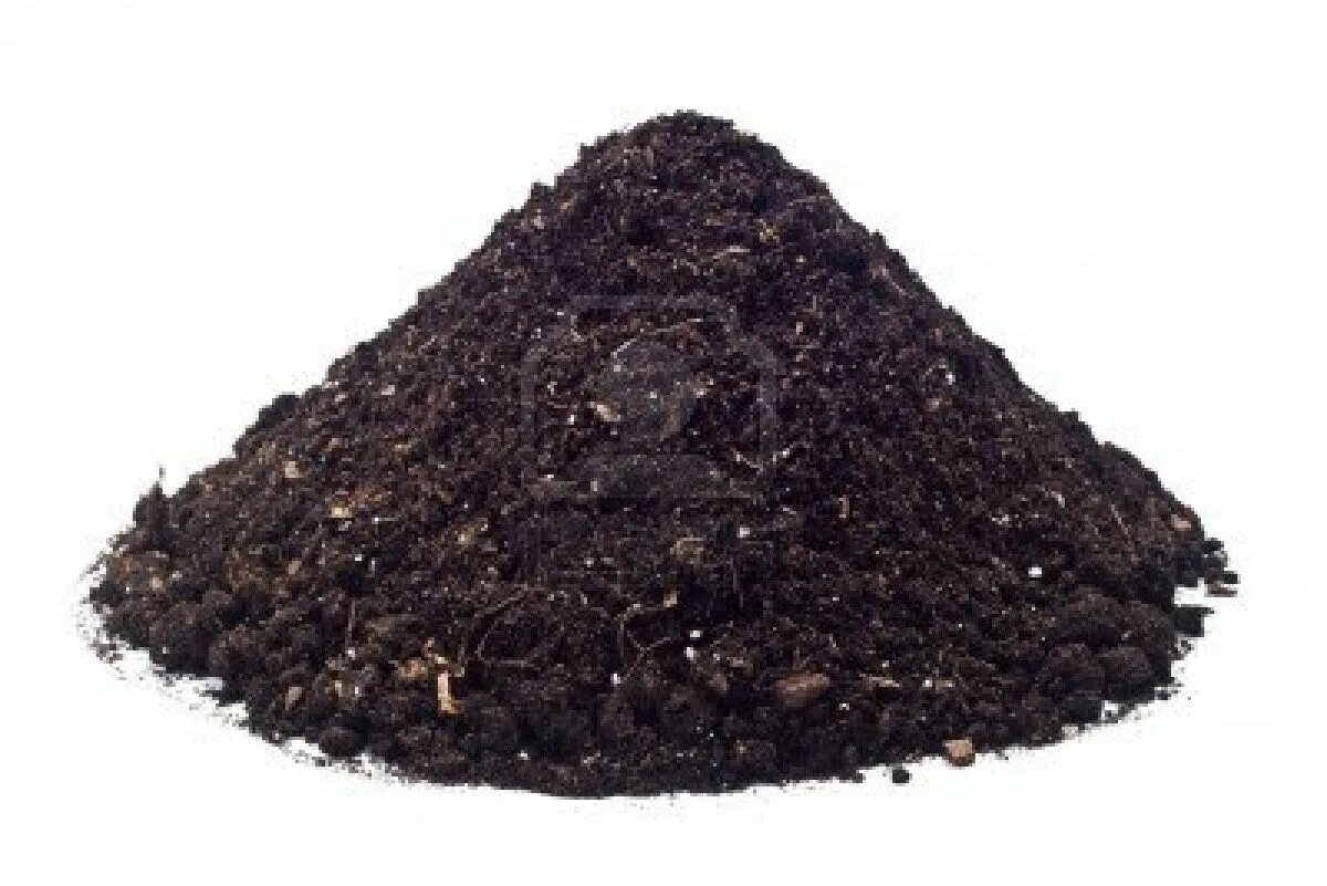 Кучка земли фото mound of (mostly) soil Body spray, Perfume oils, Beard balm