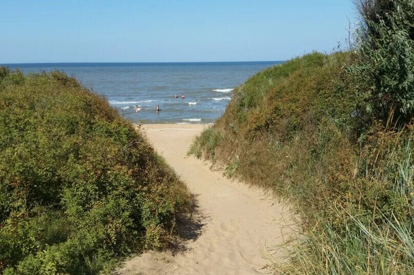 Кучугуры зимой фото Парк в кучугурах: найдено 84 картинок