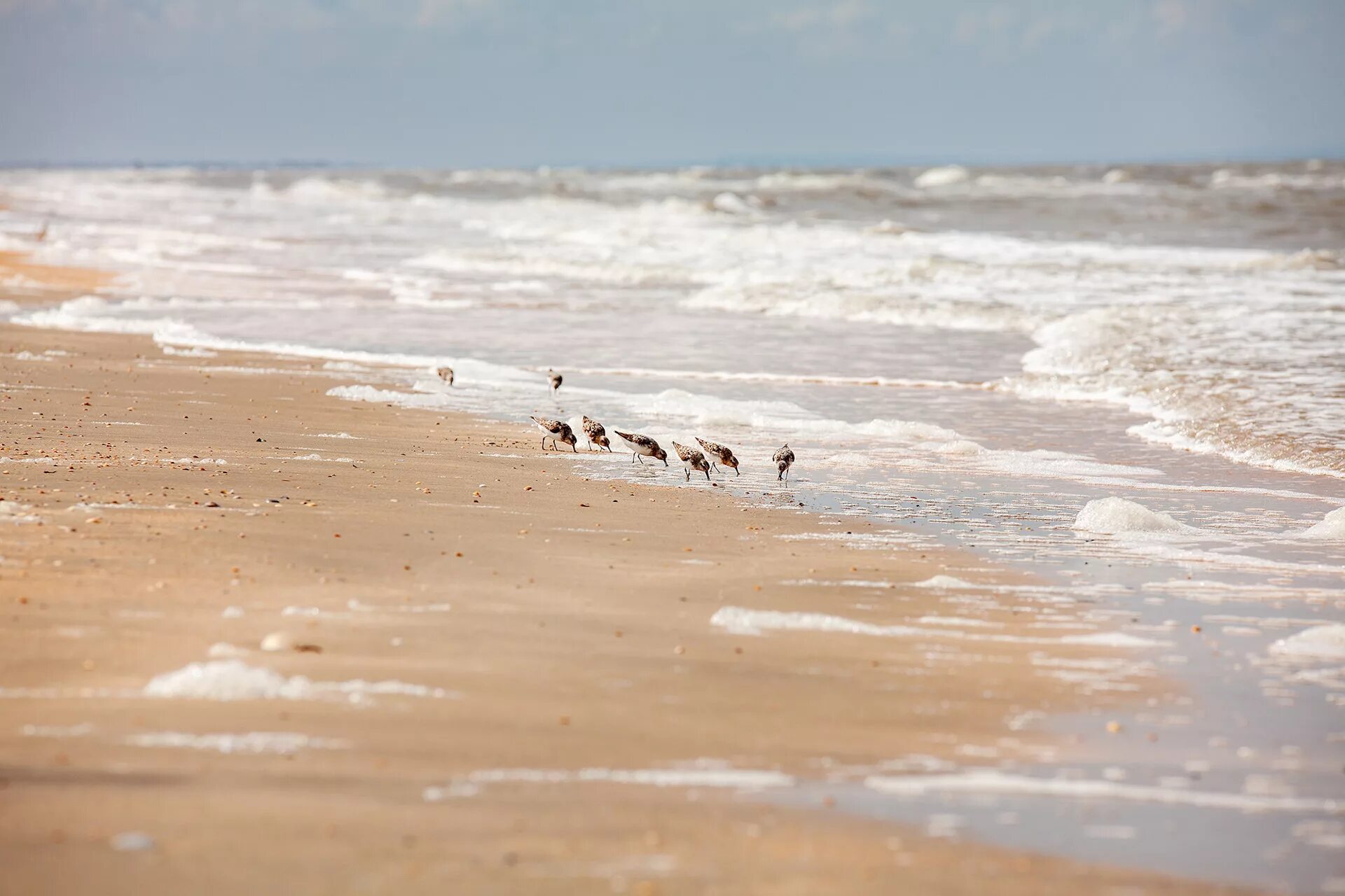 Кучугуры зимой фото И снова Кучугуры - DRIVE2