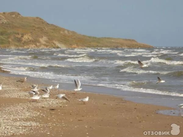 Кучугуры зимой фото Отзыв о Поселок Кучугуры (Россия, Краснодарский край) Тихое местечко на Азовском