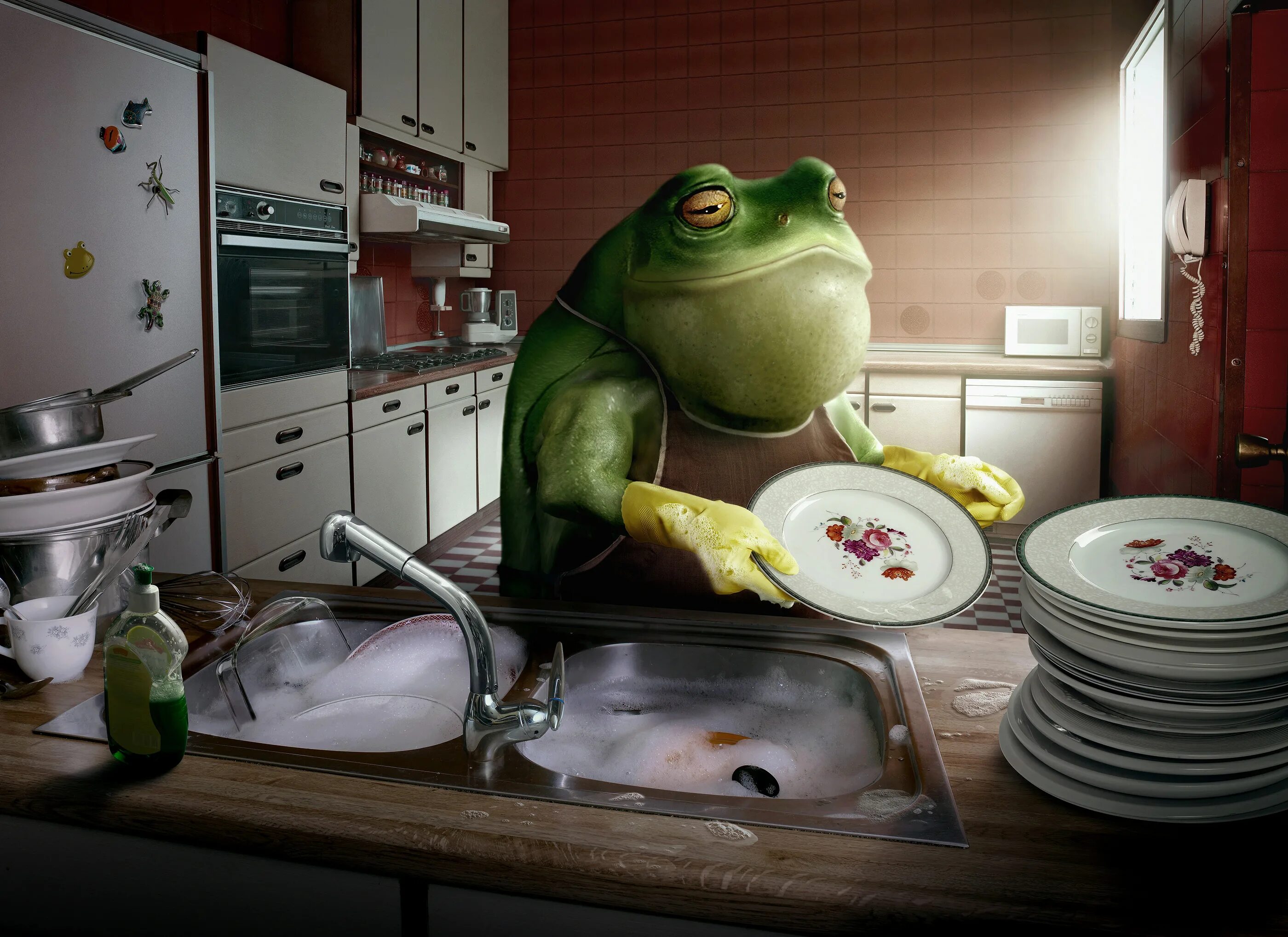 Кухня смешные фото VILEDA :: Behance