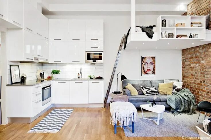 Кухня спальня дизайн Hoogslaper voor volwassenen Espaços pequenos, Apartamentos pequenos, Decoração a