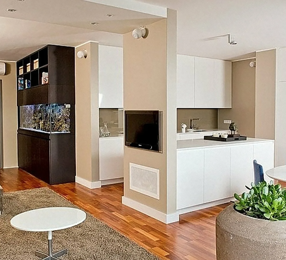 Кухня студия перегородка фото Перегородки комната студия