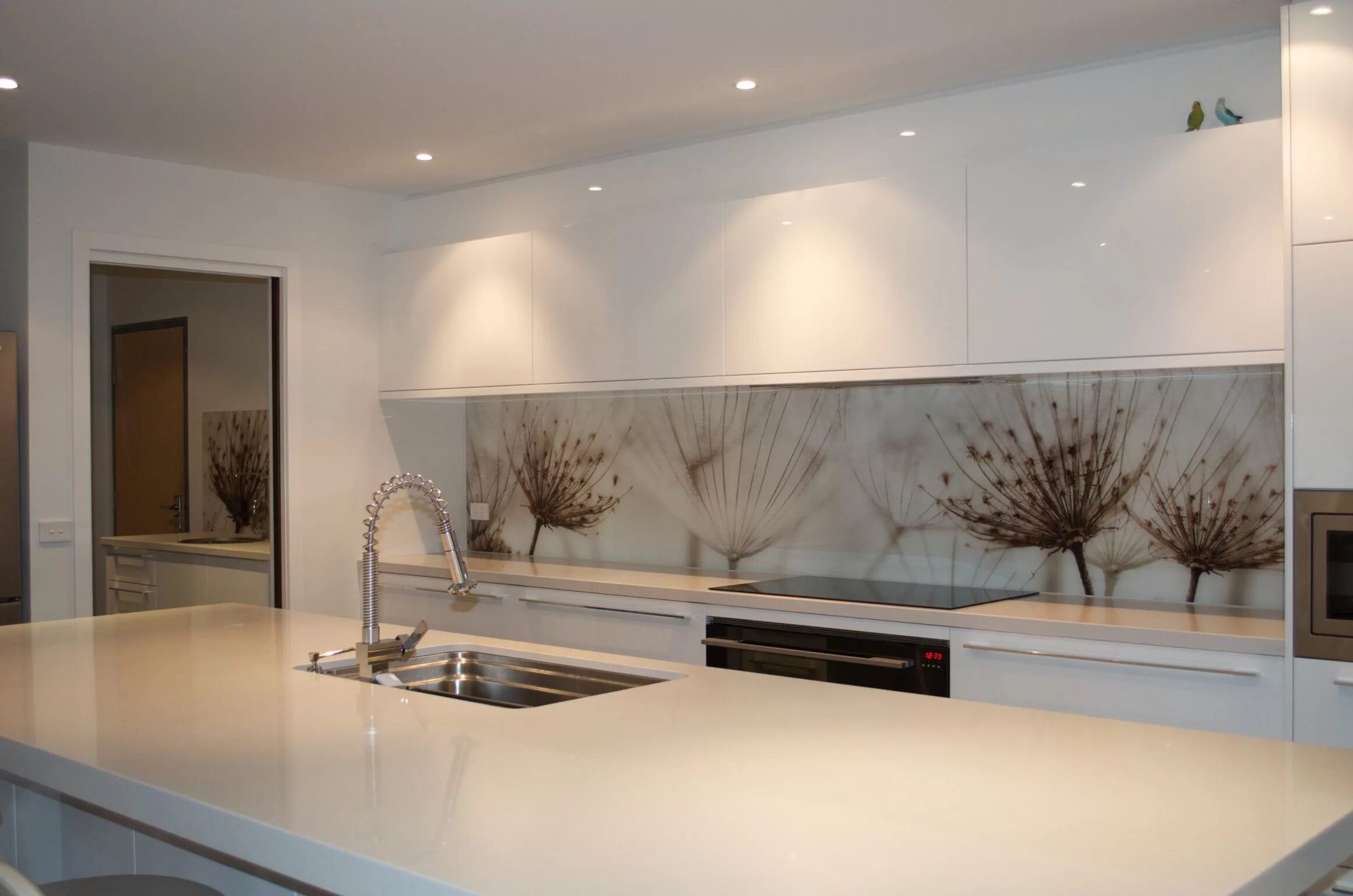 Кухонные фартуки на стену стекло фото What Types Of Printed Glass Splashbacks Can You Use For Your Kitchen?