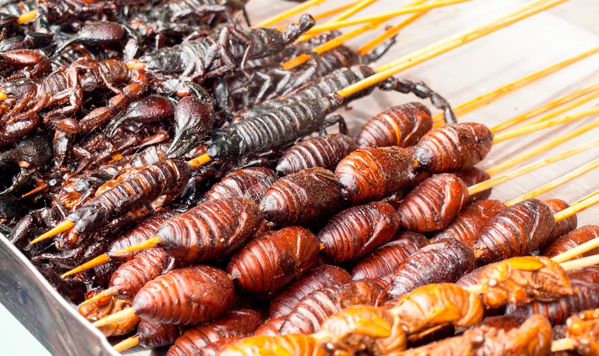 Кухонные насекомые фото Вместо гамбургера с колой. Какой стритфуд можно попробовать в Таиланде