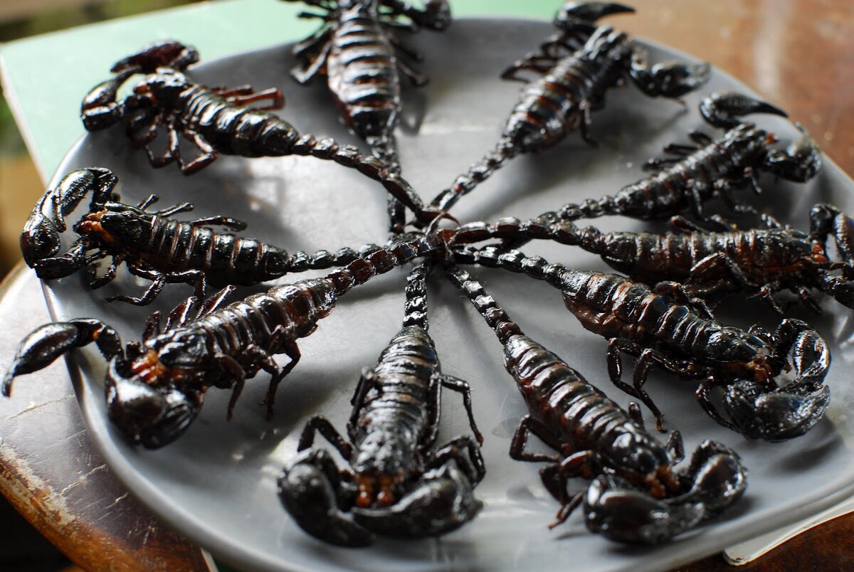 Кухонные насекомые фото Что ни в коем случае нельзя есть и пить в Таиланде? Вокруг света за 80 секунд ✈ 