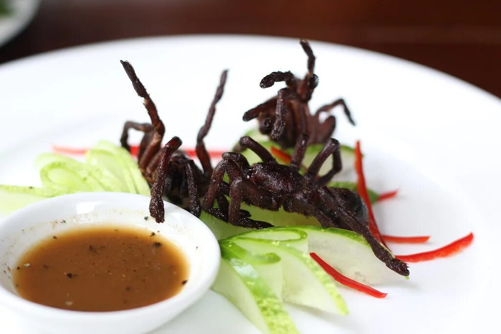 Кухонные насекомые фото Top 7 Exotic Foods from around the World - STARNEWS