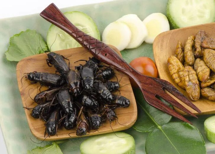 Кухонные насекомые фото Обладатель трех звезд Мишлен собирается готовить насекомых Просто Есть