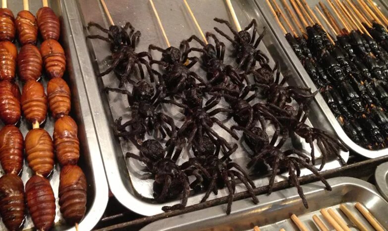 Кухонные насекомые фото Ответы Mail.ru: Ели ли вы когда-нибудь такое?