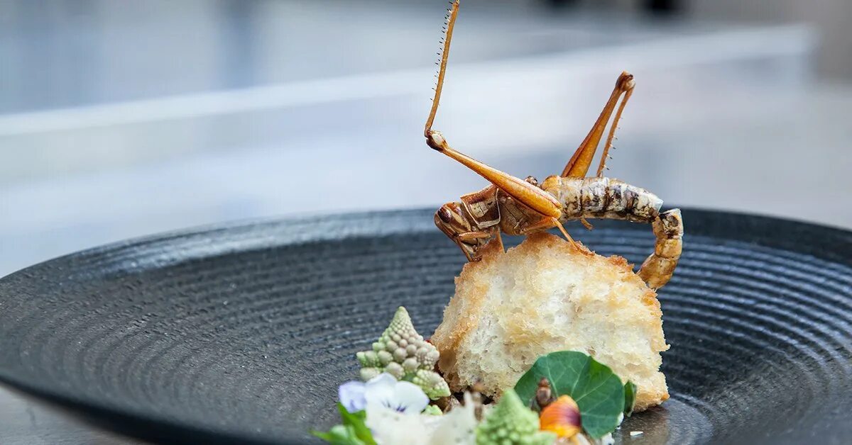 Кухонные насекомые фото Bangkok's getting a new restaurant dedicated to edible insects BK Magazine Onlin