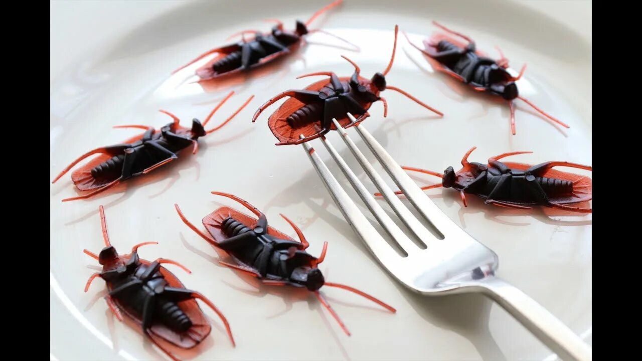 Кухонный таракан фото Homemade Cockroach Killer सारे काकरोच दो दिन में भाग जायेंगे Get rid of COCKROAC