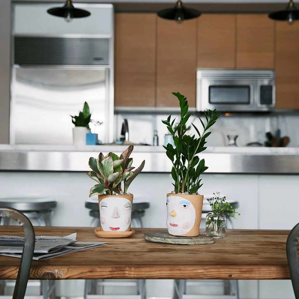 Кухонный цветок фото Комнатные цветы для кухни - 59 фото