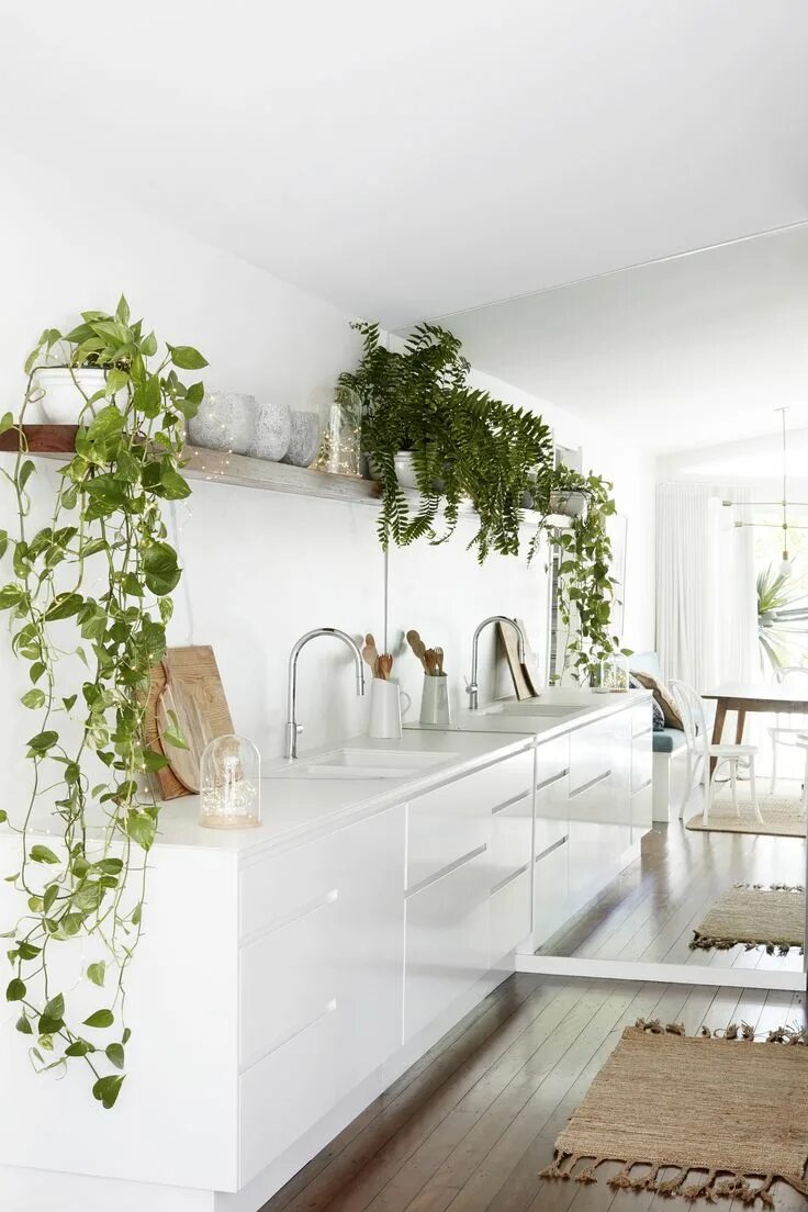 Кухонный цветок фото Our latest SS18 collection is inspired by the relaxed vibe of Byron Bay and enca