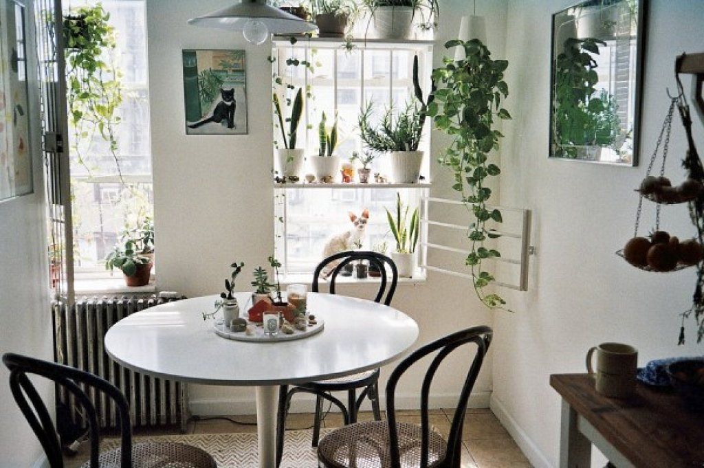 Кухонный цветок фото Pin en Decoración RED facilisimo