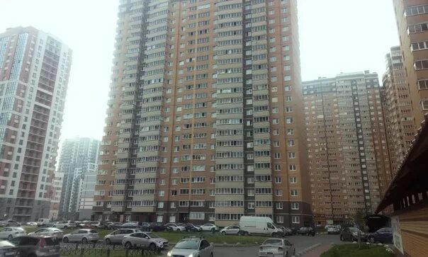 Кушелевская дорога фото Кушелевская дорога фото Кушелевская дорога фото В 9 вечера на перекрёстке проспекта Маршала Блюхера и Кушелевской дороги водител