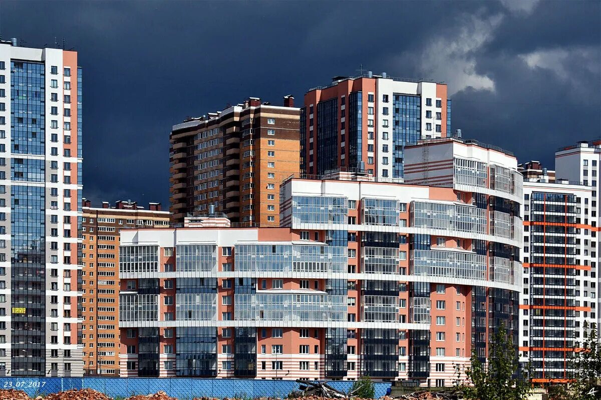 Кушелевская дорога фото Кушелевская дорога фото Кушелевская дорога фото Санкт-Петербург: от культурной столицы до ужасного человейника. О городах и стра