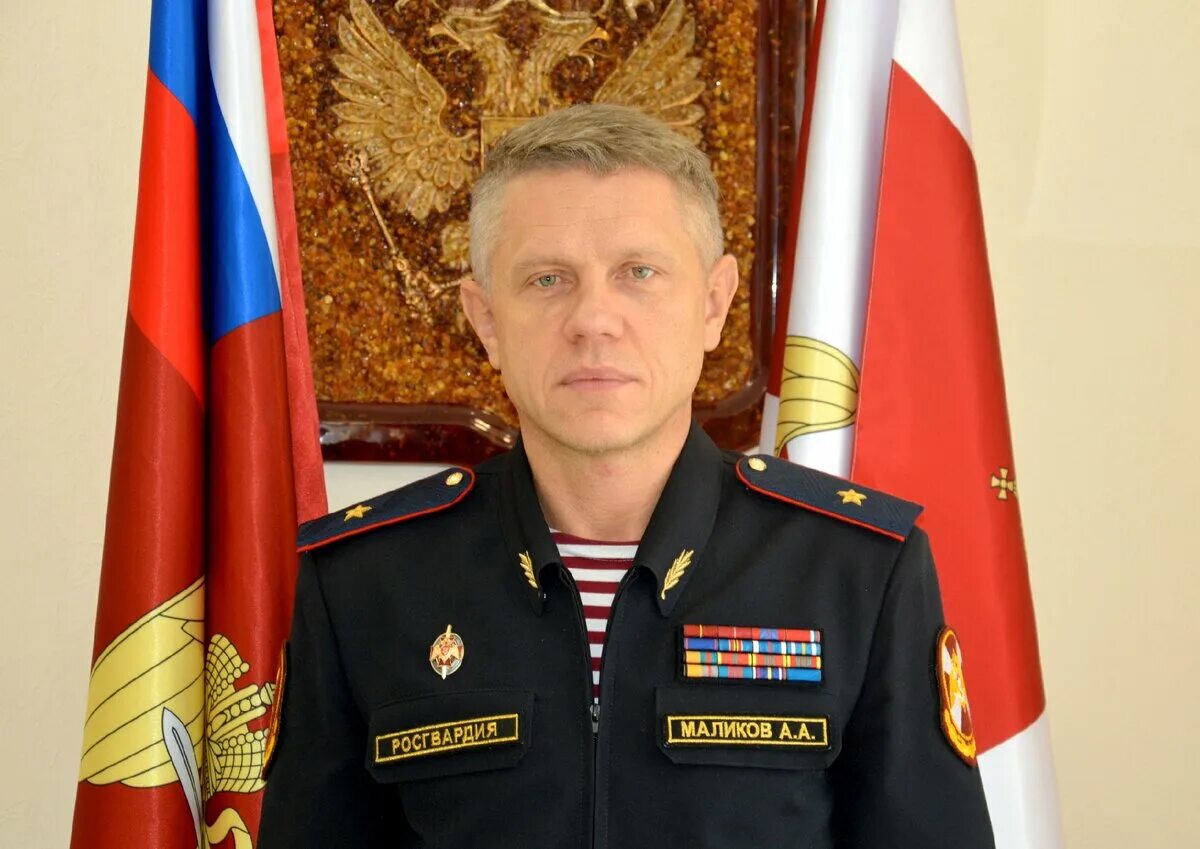 Куцуров евгений леонидович росгвардия биография фото Интервью с начальником ГУГК ЛРР Росгвардии А.А.Маликовым КАЛИБР Дзен