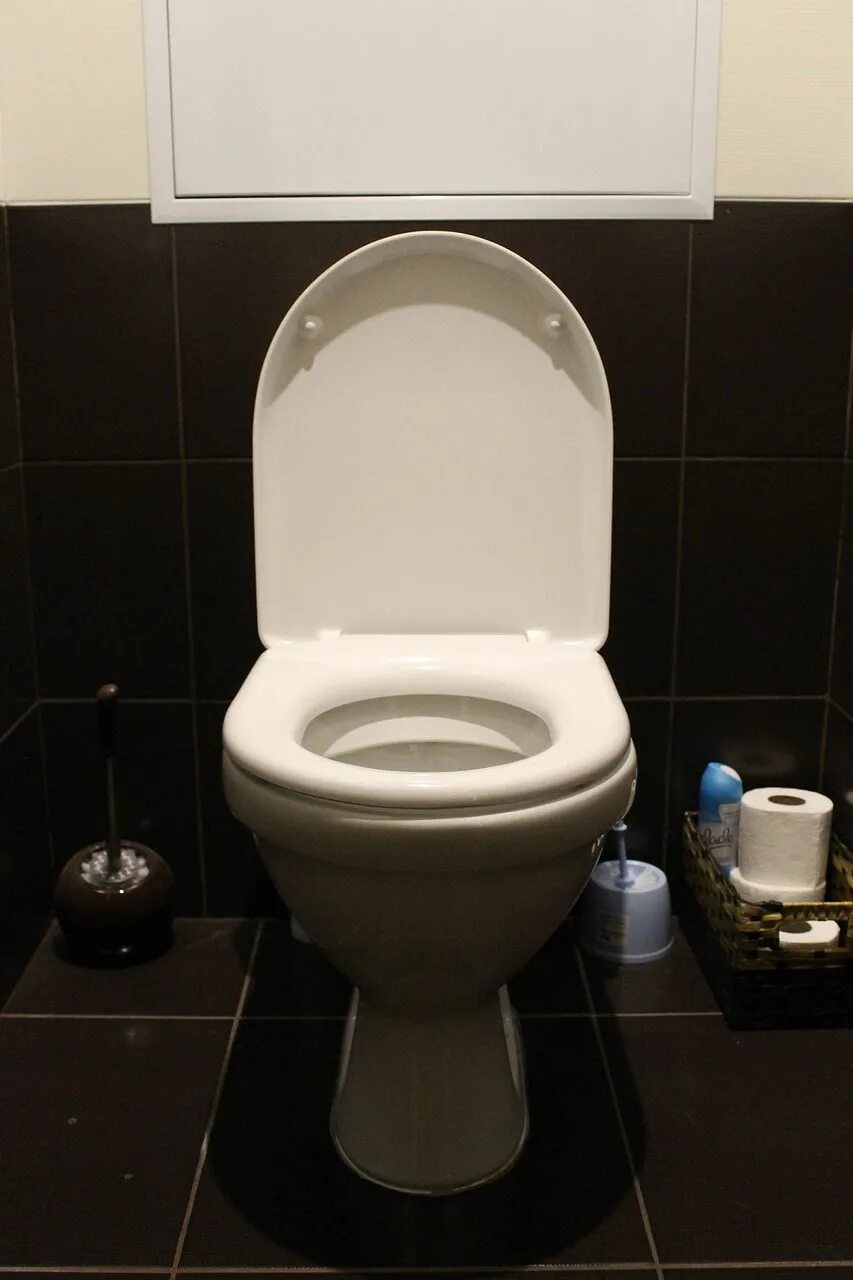 Квача для туалета фото What You Can & Can't Flush Down The Toilet - Better Meets Reality New toilet, To