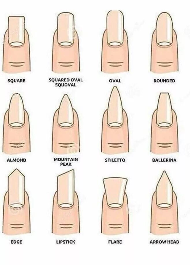 Квадратная форма ногтей фото Pin by Arbrore Zekaj on Nails Nail shapes, Fashion nails, Nail length