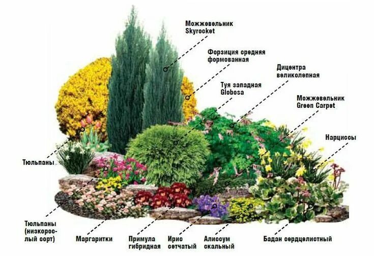 Квадратная клумба с хвойниками и многолетниками фото Клумбы из многолетников (98 фото): красивые цветники своими руками на даче, схем