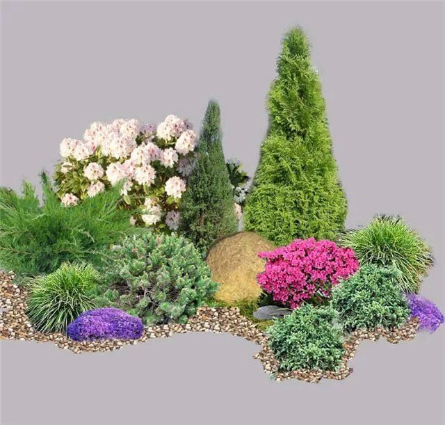 Квадратная клумба с хвойниками и многолетниками фото Радикал-Фото: Картинка Garden flower beds, Evergreen garden, Garden design