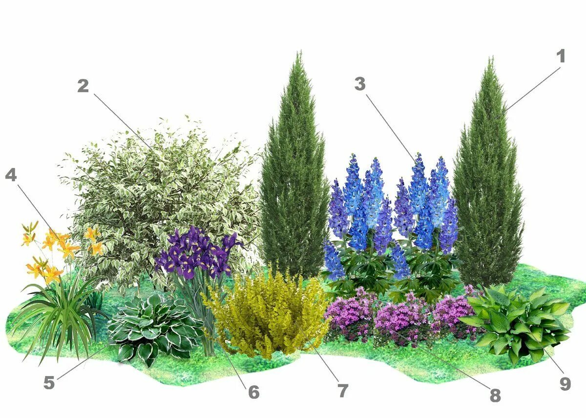 Квадратная клумба с хвойниками и многолетниками фото Схема цветущей клумбы из неприхотливых растений Цветоводство, Клумбы, Планировка