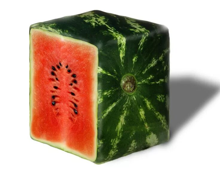 Квадратные фрукты фото Square Watermelon: A Popular Trend in Japan Square watermelon, Watermelon, Japan