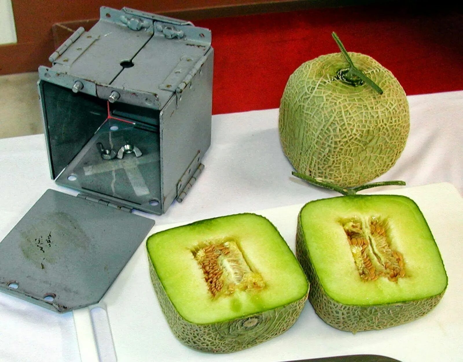 Квадратные фрукты фото Most expensive Fruits in World (price is more than $100) Fruit, Melon, Growing