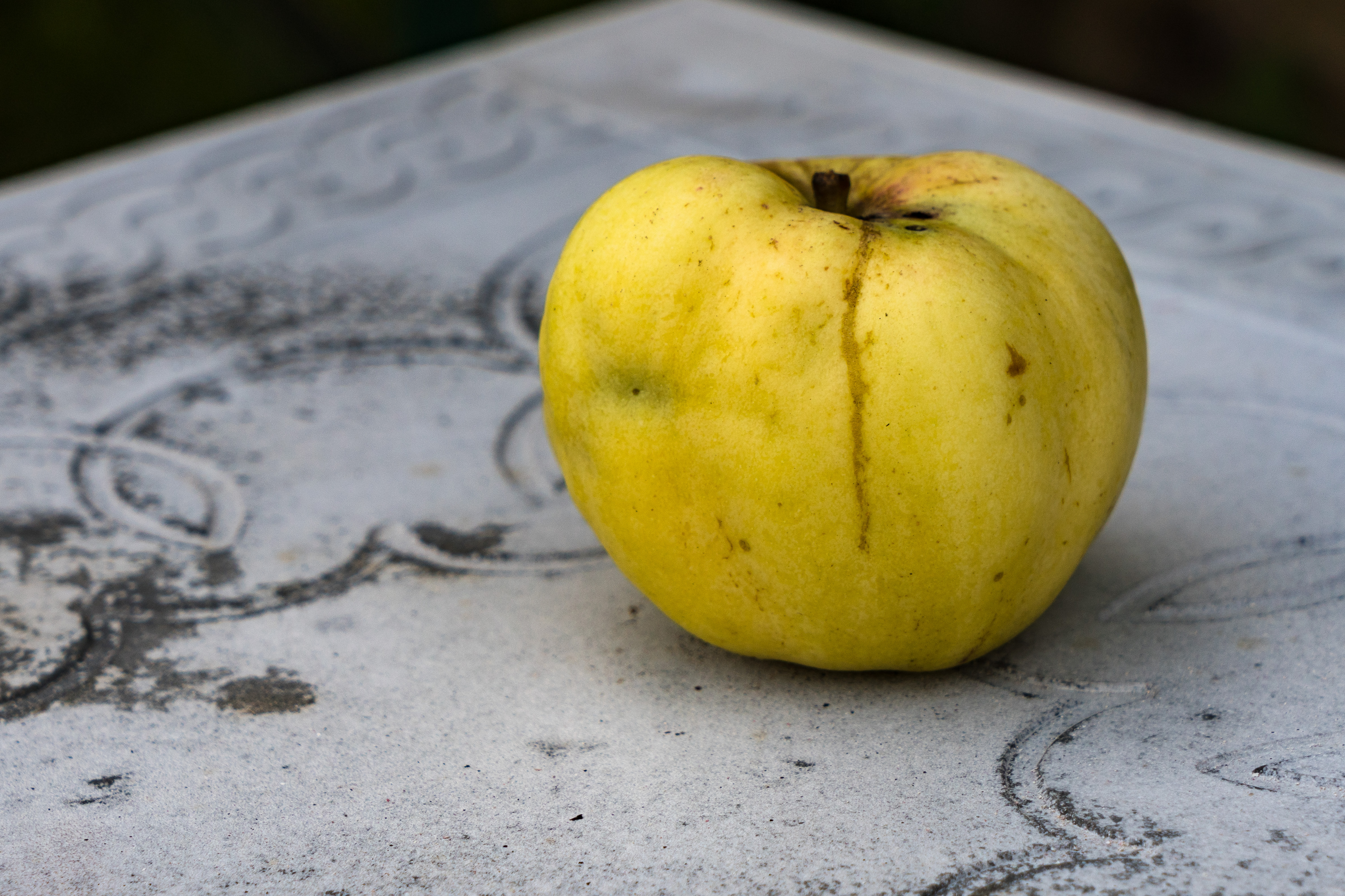 Квадратные яблоки фото Free Images : apples, green, red, harvest, vitamins, apple, summer, garden, vill