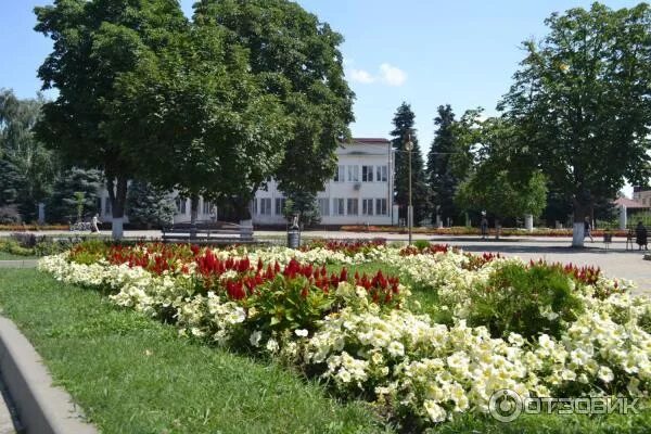 Квадраты садовая ул 11 лабинск фото Отзыв о Город Лабинск (Россия, Краснодарский край) Красивый город, но не пригодн