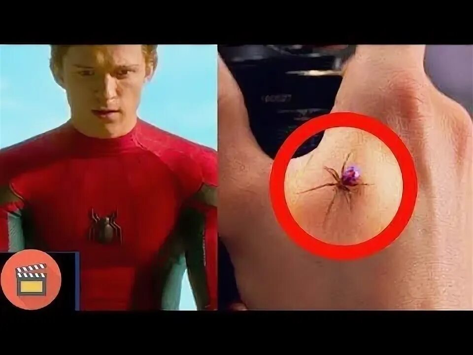 Квадробер кусает человека фото 10 Bí Mật về Người Nhện Mà Marvel Luôn Luôn Che Giấu - YouTube