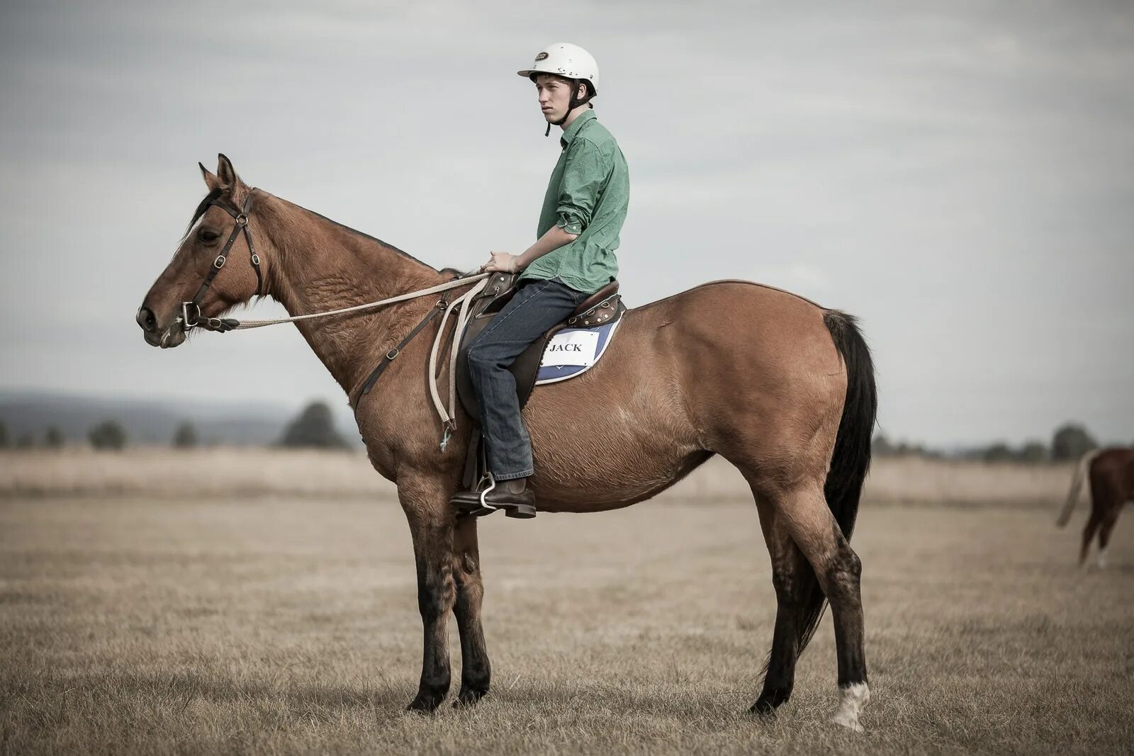 Квадробер лошадь фото I can t ride horse: найдено 83 изображений