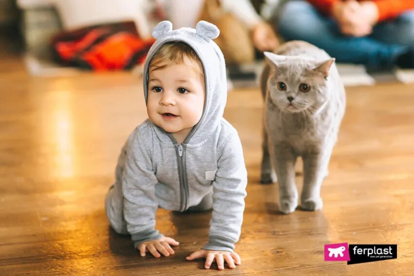 Квадроберы дети кошки фото 5 LIFE LESSONS THAT CHILDREN LEARN FROM CATS - LOVE FERPLAST