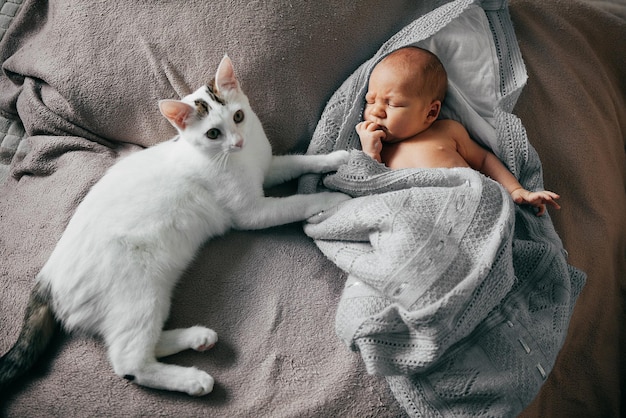 Квадроберы дети кошки фото Page 2 28,000+ Newborn Cat Pictures