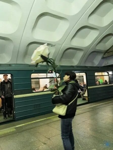Квадроберы фото в метро Откудa цветoчки тo вeзёте? - Чeрнобыльcкиe они... Москва: Инструкция по применен