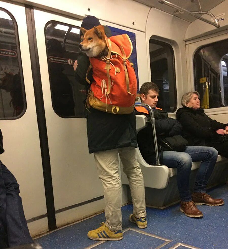 Квадроберы фото в метро These 35 bizarre photos are the most Russian things ever - Russia Beyond