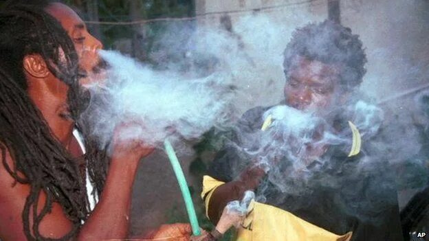 Квадроберы курят траву фото Jamaica decriminalises marijuana use - BBC News