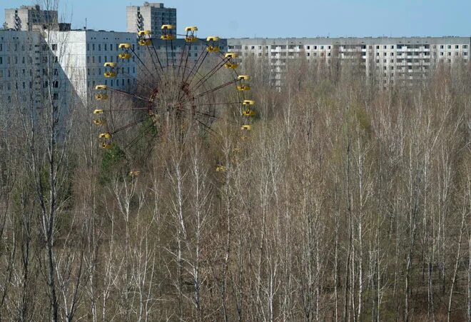 Квадроберы в чернобыле фото GISMETEO: Весна глазами фотографов - Климат Новости погоды.