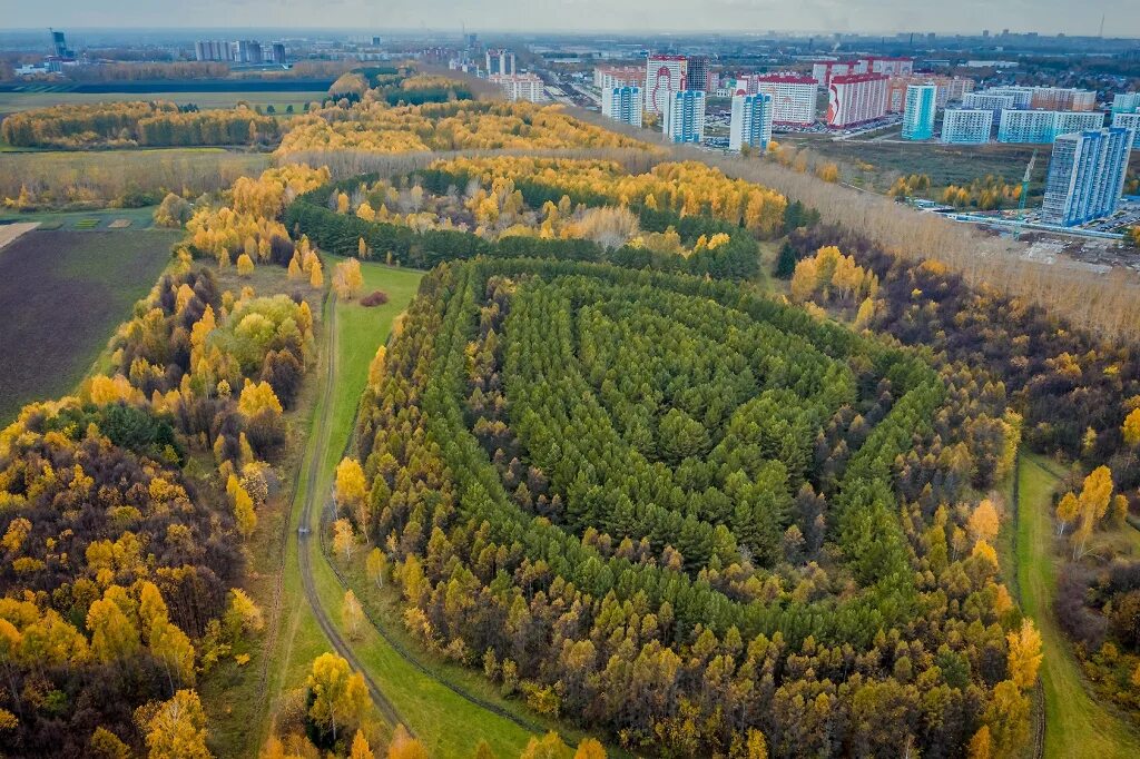 Квадроберы в новосибирске фото Новосибирский фотограф снял осенний краснообский лес с высоты - Вести