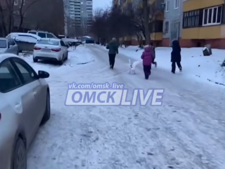 Квадроберы в омске фото Гусь на прогулке: Дети выгуливали пернатого друга на Левобережье Омска 11.11.202