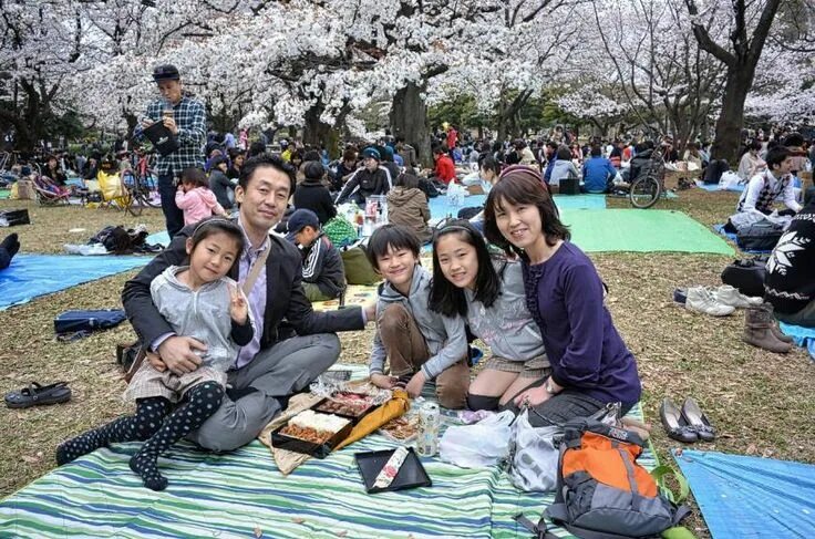 Квадроберы в японии фото Our guide to family hanami hot spots Hanami, Japan image, Japan