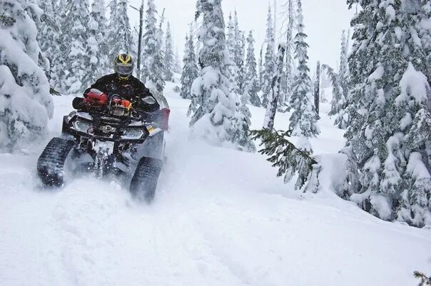 Квадроберы зимой фото About the nuances of operation of snowmobiles and scooters In snowy weather, fan