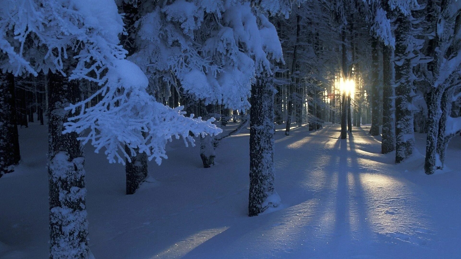 Квадроберы зимой фото Картинки по запросу обои на рабочий стол зима Winter wallpaper, Winter pictures,