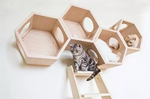 Квадробика фото кошки MYZOO Busy Cat: Amazon.com.au: Pet Supplies Cat furniture, Cat shelves, Cat wall