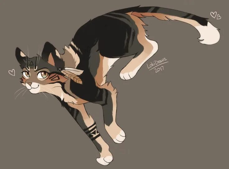 Квадробика фото кошки loki by LokiDrawz Warrior cats fan art, Warrior cat drawings, Warrior cat oc