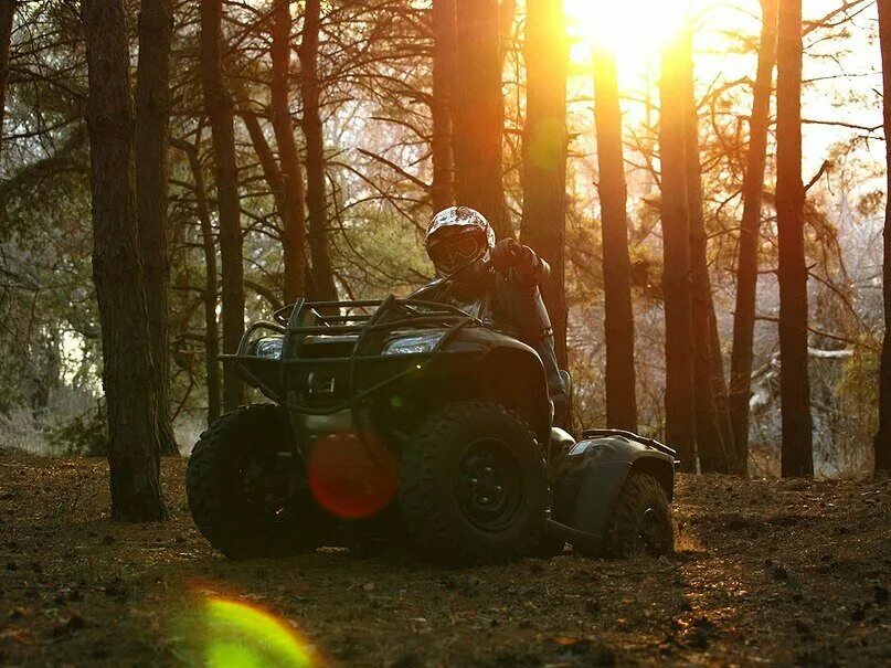 Квадроцикл в лесу фото Прогулки на Квадроциклах Honda, багги Polaris & scrambler, джипТуры на Nissan Pa