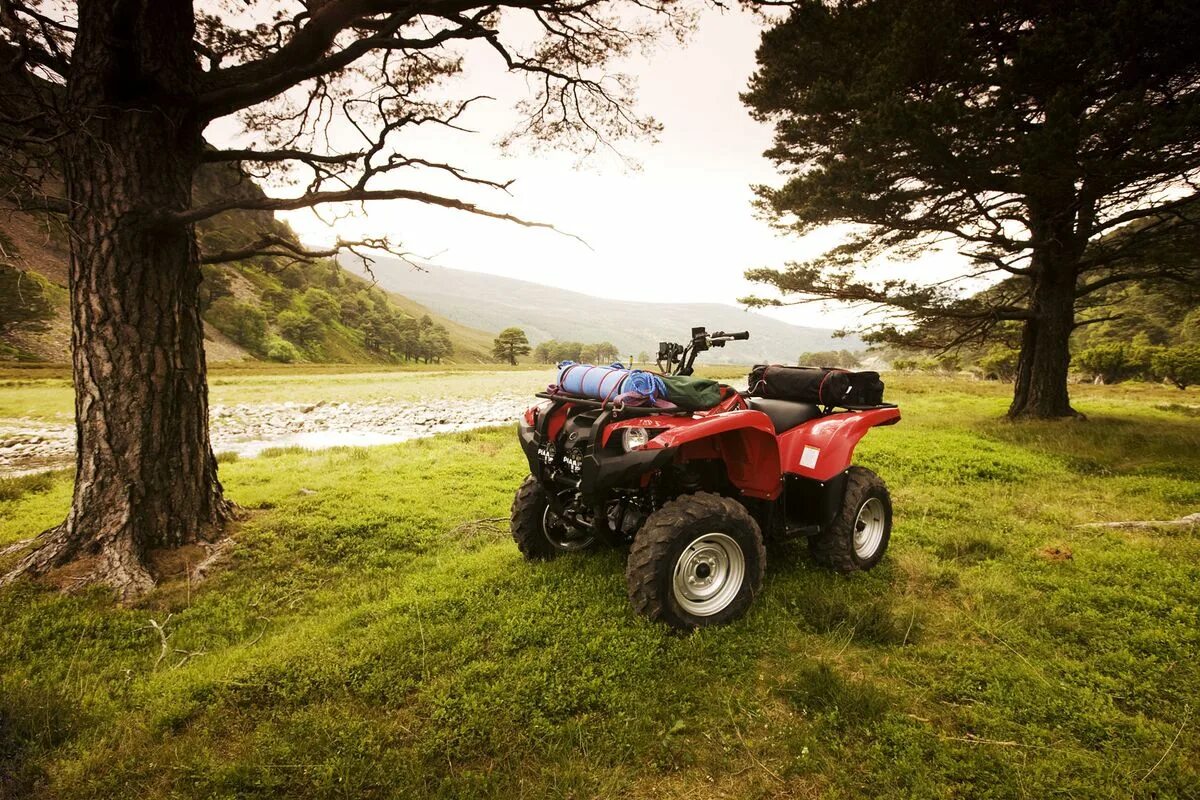 Квадроцикл в поле фото Yamaha Grizzly 550 FI - CycleChaos